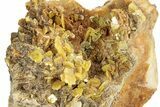 Bright Yellow Wulfenite on Dolomite - Morocco #258053-1